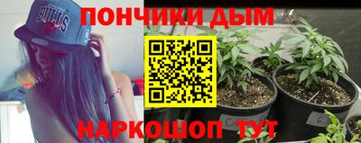 гидра Бийск