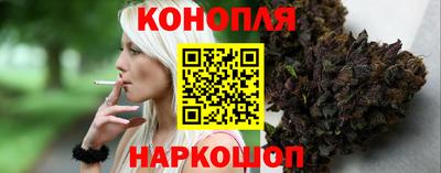 гидра Бийск