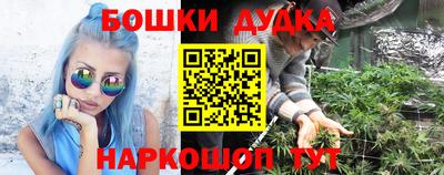 гидра Бийск