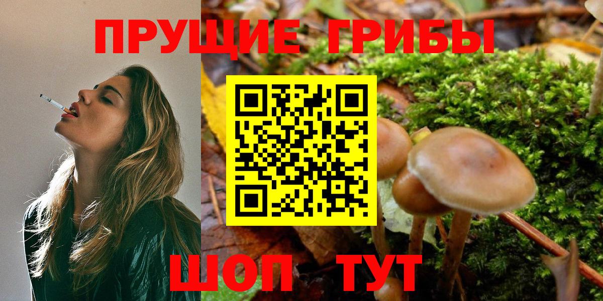 Галлюциногенные грибы ЛСД  Вход с VPN  Дербент  Псилоцибиновые грибы MAGIC MUSHROOMS 