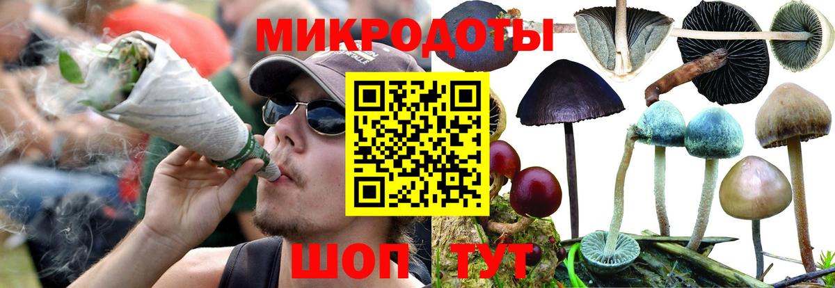 Псилоцибиновые грибы GOLDEN TEACHER Дербент