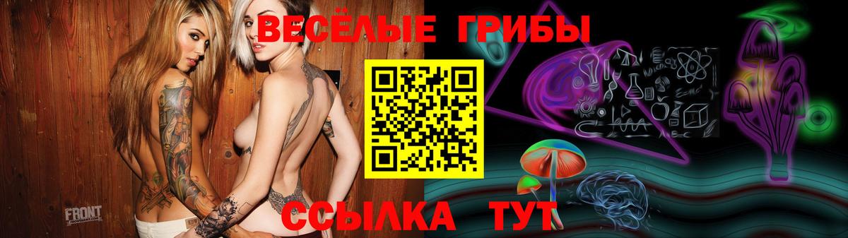 Галлюциногенные грибы Magic Shrooms  Дербент  Псилоцибиновые грибы Cubensis 